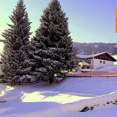 Appartement Nr 19, Alpenappartementhaus, Oberstaufen-Steibis, Allgaeu, Oberstaufen Plus מראה חיצוני תמונה