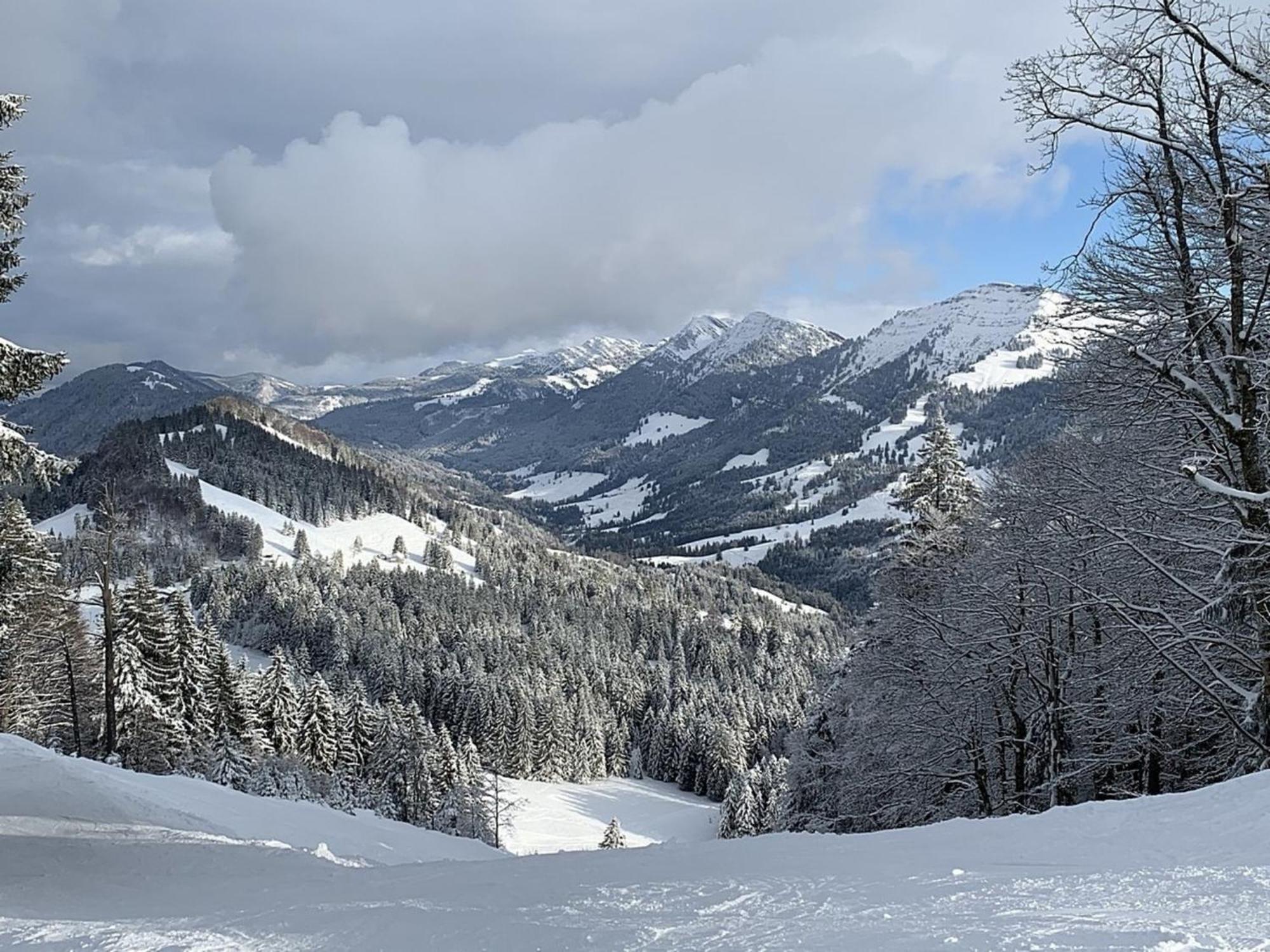 Appartement Nr 19, Alpenappartementhaus, Oberstaufen-Steibis, Allgaeu, Oberstaufen Plus מראה חיצוני תמונה