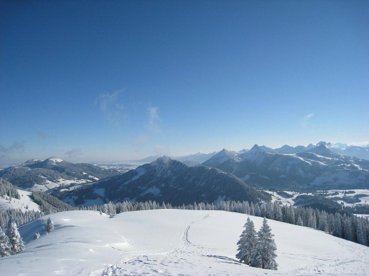 Appartement Nr 19, Alpenappartementhaus, Oberstaufen-Steibis, Allgaeu, Oberstaufen Plus מראה חיצוני תמונה